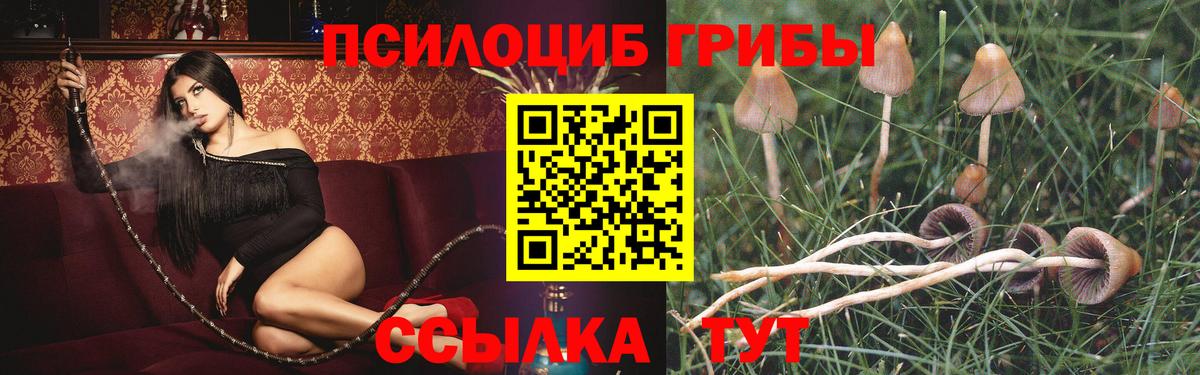 Псилоцибиновые грибы Cubensis Первоуральск