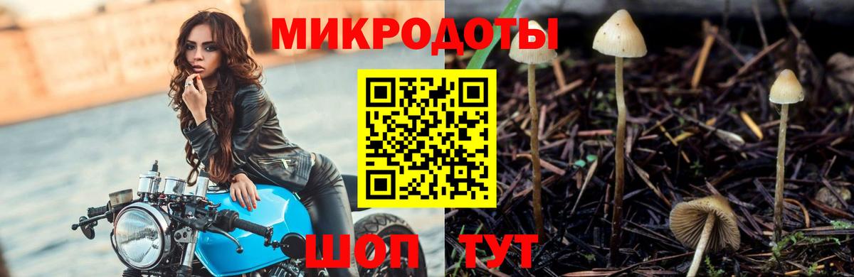 Первоуральск  Псилоцибиновые грибы GOLDEN TEACHER  Вход с VPN 