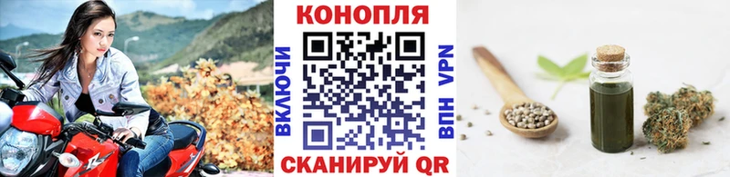 Бошки марихуана MAZAR  omg как зайти  Первоуральск 